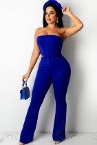 Summer Sexy Blue Strapless Pleat Top And Pant Set