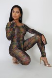 Fall Sexy Multi Color Print Off Shoulder Long Sleeve Bodysuit and Matching Skinny Pants Set