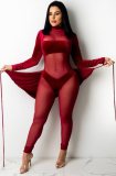 Autumn Party Sexy Mesh Patch Velour Tight Red Jumpsuit