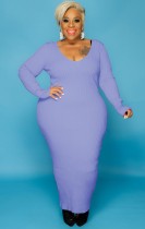 Fall Plus Size Purple V Neck Long Sleeve Long Dress
