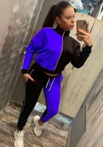 Winter Blue Contrast turtleneck Sports Jogging Two Piece Tracksuits