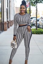 Autumn Print White and Black Crop Top and Pants Set