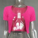 Autumn Party Sexy Knit Plush Rose Short Sleeves Crop Top