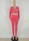 Autumn Sports Rose Crop Top and Sweatpants 2PC Velour Tracksuit