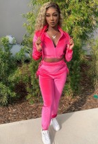 Autumn Sports Rose Crop Top and Sweatpants 2PC Velour Tracksuit