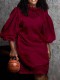 Fall Plus Size Wine Hollow Out Ruffled O Neck Puff Sleeve Two Piece Dress Sets