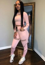 Fall Sexy Pink See Through Line Round Neck Long Sleeve Crop Top And Pant Two Piece Set