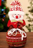 Christmas Cute Red Apple Candy Biscuit Gift Bag