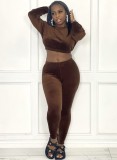 Winter Casual Brown Velvet Crop Top and Pants Two Piece Set