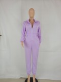 Winter Casual Purple Zipped Up Long Sleeve Jumpsuit