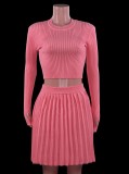 Winter Pink Elegant Knit Crop Top and Pleated Skirt Two Piece Set