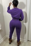 Winter Purple Cropped Top and Pants Two Piece Tracksuit