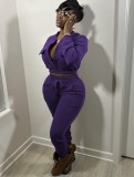Winter Purple Cropped Top and Pants Two Piece Tracksuit