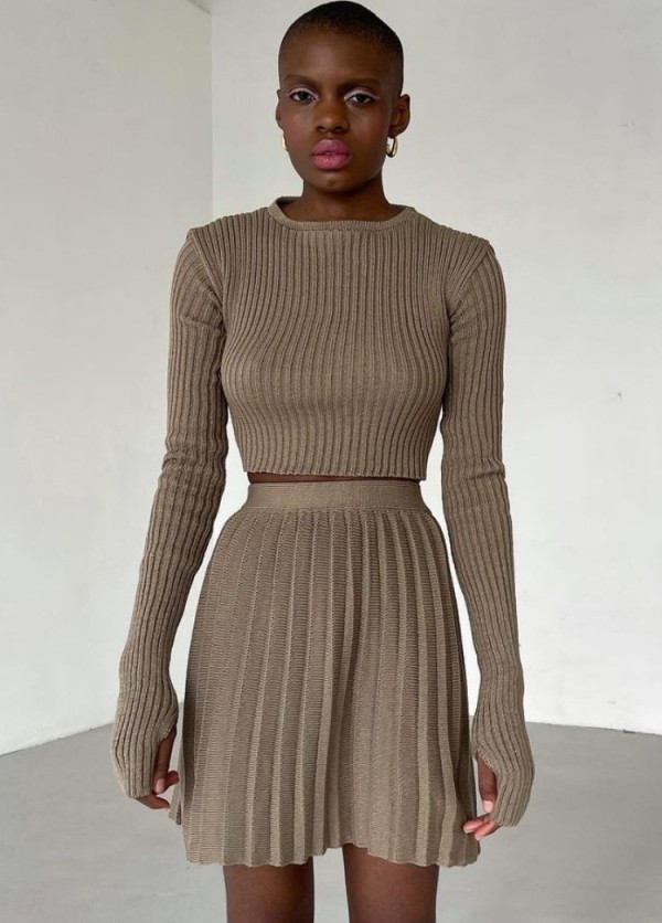 Winter Brown Elegant Knit Crop Top and Pleated Skirt Two Piece Set