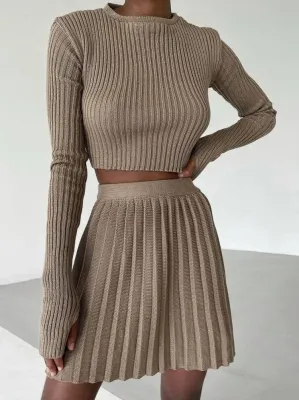 Winter Brown Elegant Knit Crop Top and Pleated Skirt Two Piece Set