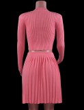Winter Pink Elegant Knit Crop Top and Pleated Skirt Two Piece Set