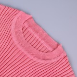 Winter Pink Elegant Knit Crop Top and Pleated Skirt Two Piece Set