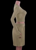 Winter Brown Elegant Knit Crop Top and Pleated Skirt Two Piece Set