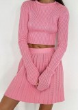 Winter Pink Elegant Knit Crop Top and Pleated Skirt Two Piece Set