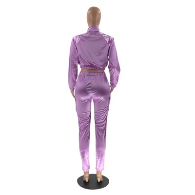 Winter Purple Stripes Zipper Jacket and Pants Two Piece Tracksuit