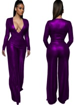 Winter Purple Metallic Formal V-Neck Long Sleeve Elegant Jumpsuit