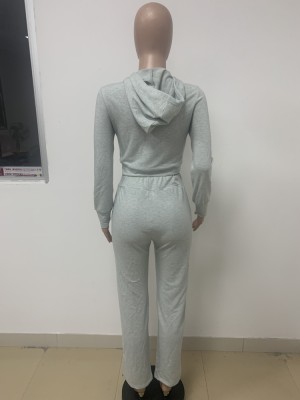 Fall Casual Grey Zipper Open Hoodies And Pant Two Piece Set