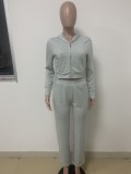 Fall Casual Grey Zipper Open Hoodies And Pant Two Piece Set