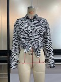 Fall White and Black Stripes Button Up Long Sleeve Blouse