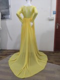 Fall Yellow Lace V-neck Full Sleeve Pregenant Evening Dress