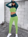 Fall Sexy Green Contrast Hollow Out Zipper Long Sleeve Top And Pant Two Piece Set