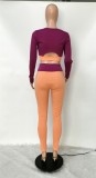 Fall Sexy Purple Contrast Hollow Out Zipper Long Sleeve Top And Pant Two Piece Set