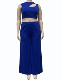 Summer Blue Cut Out Sleeveless Crop Top and Long Skirts Plus Size Two Piece Set