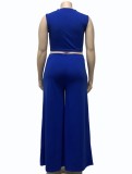 Summer Blue Cut Out Sleeveless Crop Top and Long Skirts Plus Size Two Piece Set