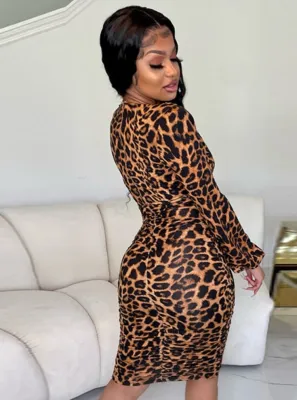 Autumn Leopard Print V-Neck Long Sleeves Midi Dress