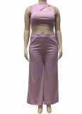 Summer Purple Cut Out Sleeveless Crop Top and Long Skirts Plus Size Two Piece Set