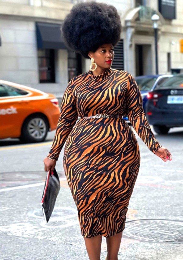 Fall Plus Size Print Round Neck Long Sleeve Long Dress