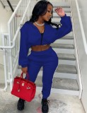 Winter Casual Blue Zipper Puffed Long Sleeve Crop Top And Pant Two Piece Set