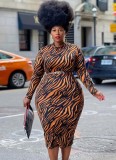 Fall Plus Size Print Round Neck Long Sleeve Long Dress