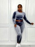 Winter Wholesale Grey Velvet Round Neck Long Sleeve Crop Top And Pant Two Piece Sets