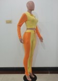 Autumn Color Block Crop Top and Pants Two Piece Tracksuit Vendors