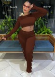 Spring Sexy Brown Round Neck Hollow Out Backless Long SLeeve Crop Top and Match Pants wholesale Two Piece Sets
