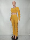 Spring Sexy Ginger Round Neck Hollow Out Backless Long SLeeve Crop Top and Match Pants wholesale Two Piece Sets