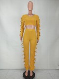 Spring Sexy Ginger Round Neck Hollow Out Backless Long SLeeve Crop Top and Match Pants wholesale Two Piece Sets