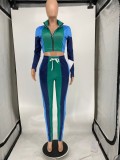 Spring Sexy Green Color Block Zipper Long Sleeve Cropped Top and Sweatpants Cheap 2holesale Two Piece Sets
