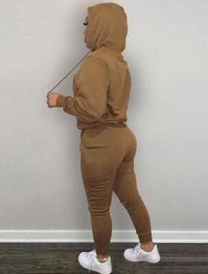 Winter Casual Sport Brown Embroidered Fleece Hoodies and Sweatpants Two Piece Set Wholesale Sportswear Usa