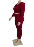 Winter Casusal Purple Solid Zipper Long Sleeve Hoodies And Pant Wholesale 2 Piece Sets