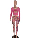 Spring Rose Sexy Sheer Crop Top and Print Legging Two Piece Set
