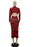 Spring Sexy Red Stripes Printed Zip Up Full Sleeve Long Dress