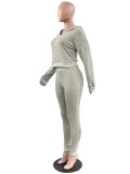 Spring Casual Gray Long Sleeve Hoodies and Sweatpants 2 Piece Sets Wholesale Sportswear Usa