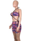 Summer Sexy Multicolor Printed Halter Straps Open Waist Bodycon Club Dress